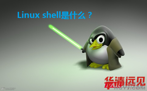 Linux shell是什么
