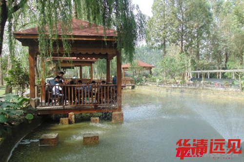 【曬照片】三圣鄉江家菜地一日游-成都學員活動